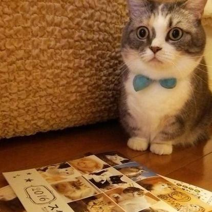 程序员鼓励喵于2019-04-29 09:07发布的图片