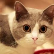 你好有神的个人资料头像