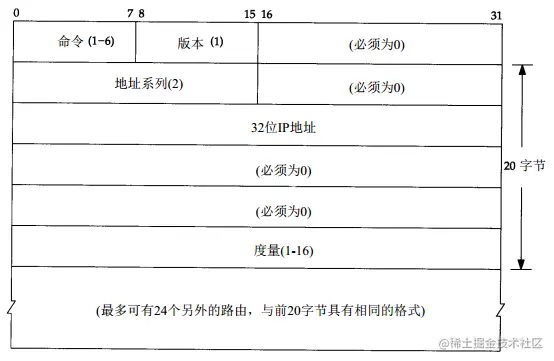图1.RIP1数据包头部
