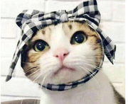 南山烟雨的个人资料头像