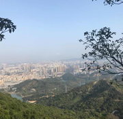 听风人刘大可的个人资料头像