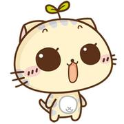 小懒虫c的个人资料头像