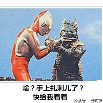 金星613于2019-04-29 15:04发布的图片