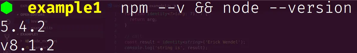 Output of commands to view Node.js version and npm versions