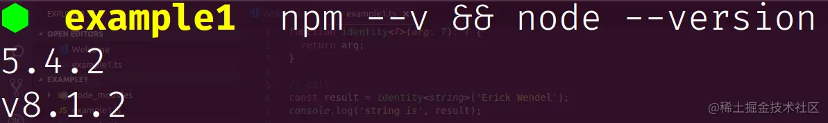 Output of commands to view Node.js version and npm versions