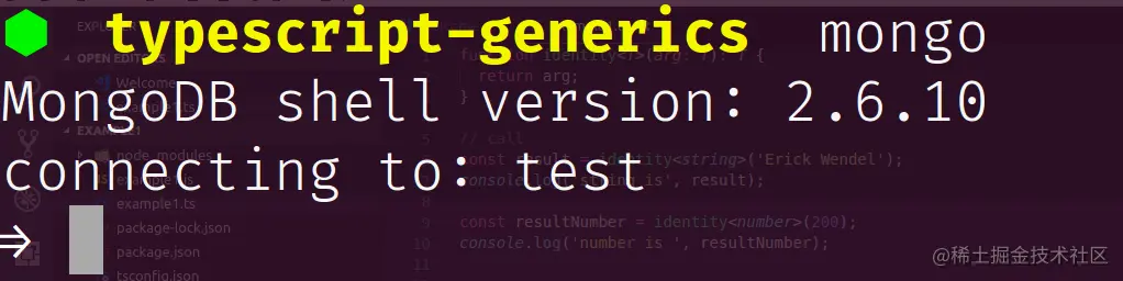 Entering em MongoDB database