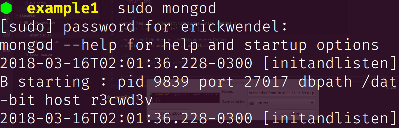 MongoDB Instance Starting