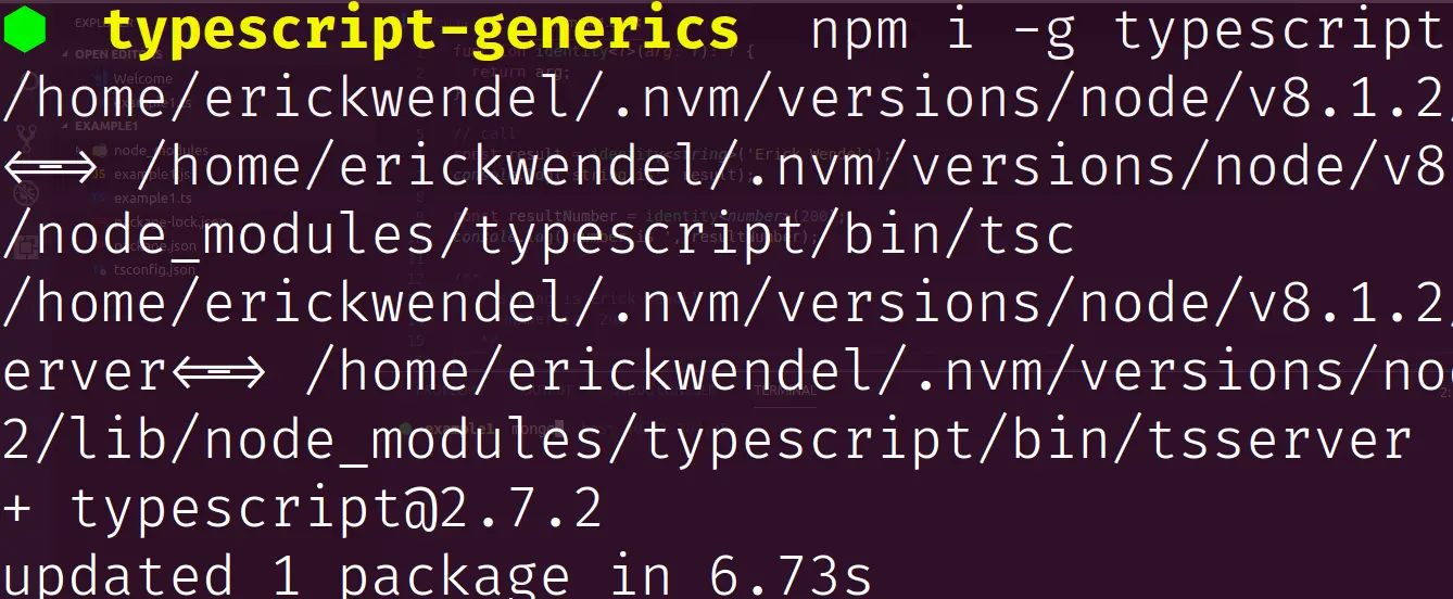 Output of typescript globally package installed