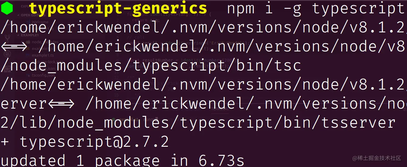 Output of typescript globally package installed