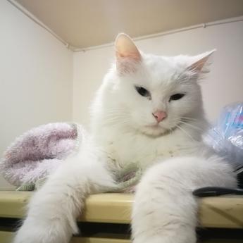 IMHHMI于2019-04-03 09:22发布的图片