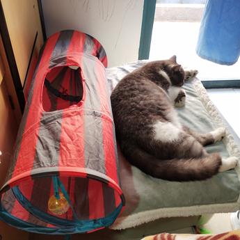 iloveliulu于2019-04-03 11:42发布的图片