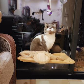 simplepeng于2019-04-03 15:28发布的图片