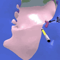 掘金话题小站于2019-04-03 15:40发布的图片