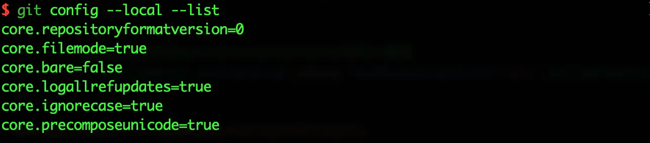 git config --local --list