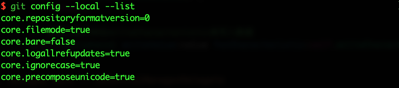 git config --local --list