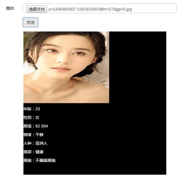 java web 人脸识别技术