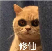 MrMan45564的个人资料头像