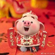 土豆排骨的个人资料头像