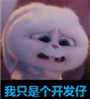 毕竟我们这些开发仔，怎么跟大佬比呢