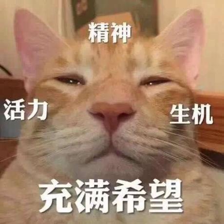 小彭手记于2019-04-30 23:33发布的图片