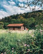 天天来掘金淘金的个人资料头像