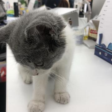 闰土掘金于2019-04-05 18:12发布的图片