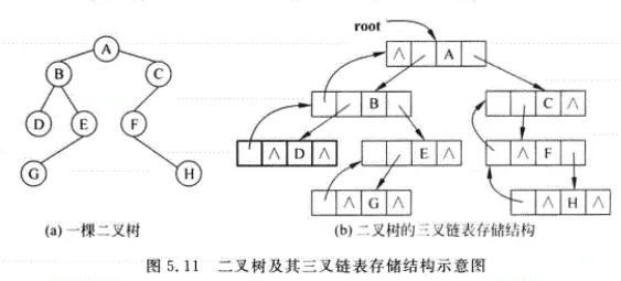 5.11二叉树及其三叉链式存储结构.png