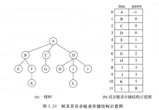 5.33双亲链表存储结构.png