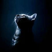 abrance的个人资料头像