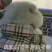 小胖崽的个人资料头像