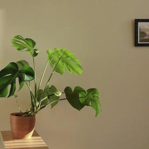 COO59276于2019-04-06 23:03发布的图片