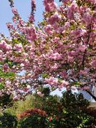 adssadas的个人资料头像