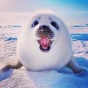 AnOceanApart的个人资料头像