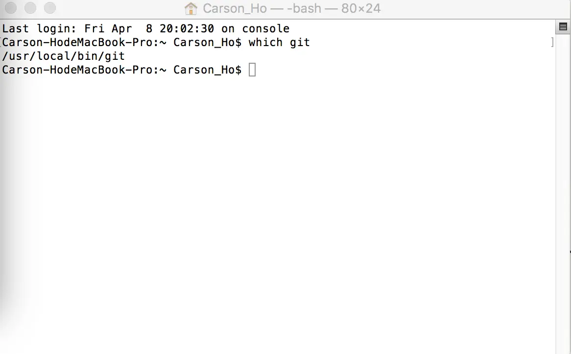 成功安装Git的示意图