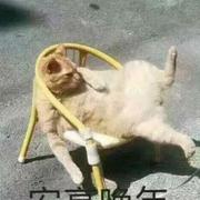 parkstu的个人资料头像