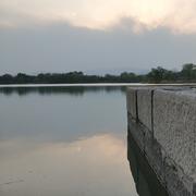 做四有青年君的个人资料头像