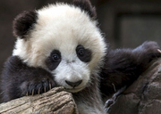 kiwikiwi的个人资料头像