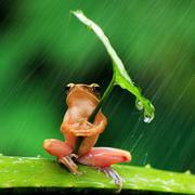 强强O_O的个人资料头像