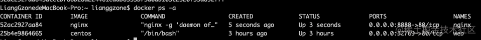 docker入门到精通_docker高级教程_https://bianchenghao6.com/blog_Java_第19张