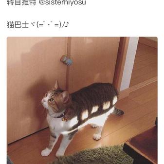 程序员鼓励喵于2019-05-01 14:35发布的图片