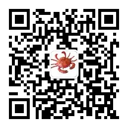 扫码关注非本科程序员