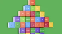 新手如何快速学python