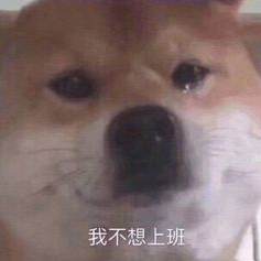 我只有三块钱于2019-05-10 12:23发布的图片