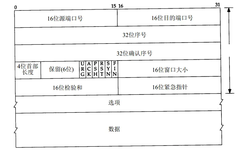 图2.TCP结构图