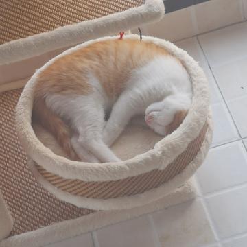 已注销于2019-05-10 17:45发布的图片