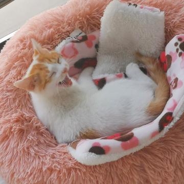 已注销于2019-05-10 17:45发布的图片