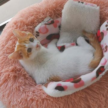 已注销于2019-05-10 17:45发布的图片