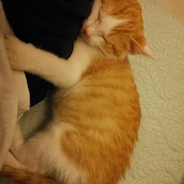 已注销于2019-05-10 17:45发布的图片