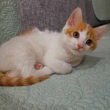 已注销于2019-05-10 17:45发布的图片