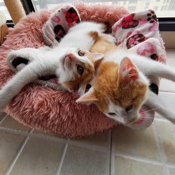 已注销于2019-05-10 17:45发布的图片